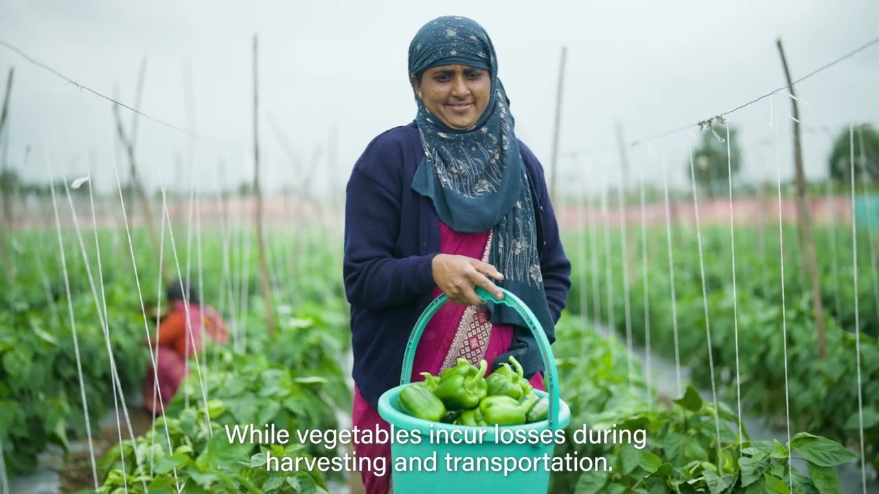 Restoring India's lost harvest
