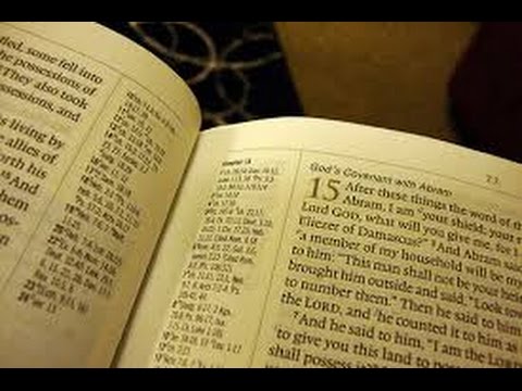 Evangelio y homilía,  Domingo 28 de junio de 2015 (de nazaret.tv)