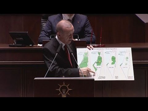 فيديو إردوغان يتهم إسرائيل بتنفيذ "مذبحة" في قطاع غزة