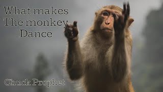 What makes the monkey dance - Chuck Prophet from the album No Other Love