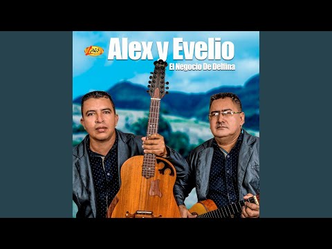 El Negocio de Delfina