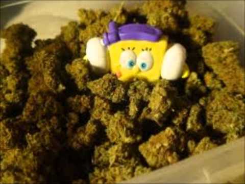 Stoner Mike ft Radamez - KUSH BOB(SPONGEBOB SAMPLE)