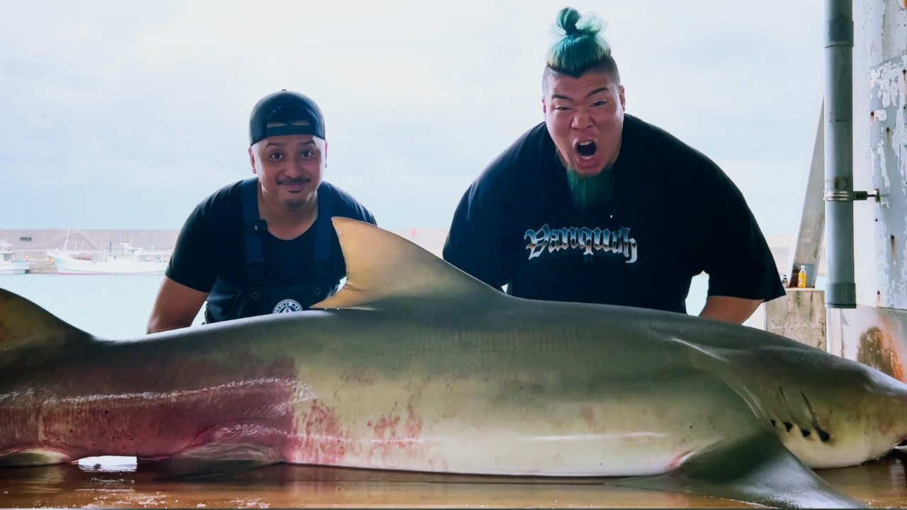 ハルクくんと巨大ザメを釣って捌いた