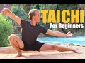 10 Tai Chi Moves For Beginners 14 Minute Daily Taiji Routine