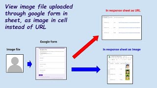 View image file in cell itself instead of url, which is uploaded through google form