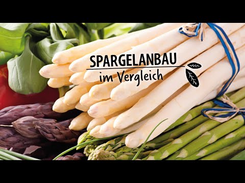 , title : 'Spargelanbau im Vergleich von Bleich- und Grünspargel'