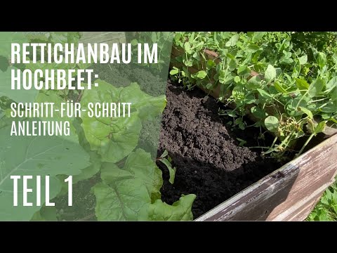 , title : 'Rettich Aussaat und Anbau im Hochbeet / Rettich  erfolgreich anbauen? / Beet vorbereiten Teil 1/2'