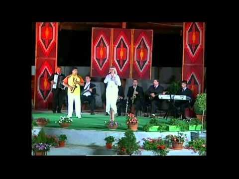 VIKI SREBROVA - Ti mi značiš najmnogu