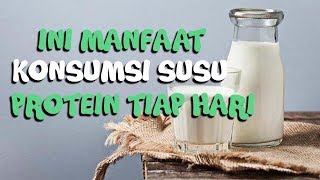 Ingin Konsumsi Susu Protein? Ini Waktu yang Tepat untuk Minum Susu Protein
