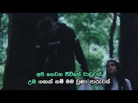 Ape Hadhakam - අපෙ හාදකම් (Api Gewana Jeewithe) | Official Karaoke