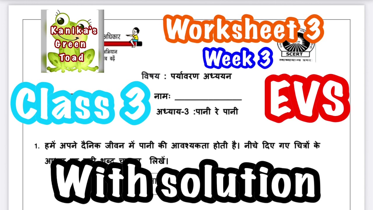 Class 3 EVS worksheet 3 solution || EDMC CLASS 3 EVS WEEK 3 WORKSHEET 3 SOLUTION