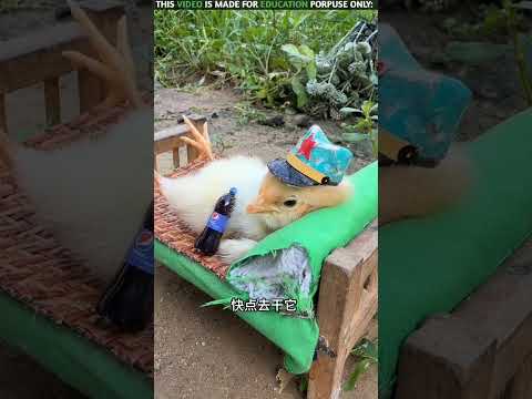 noodles eating han😨 I New viral Gadgets ,smart Appliances, kichan Utensils /Homa lnventions