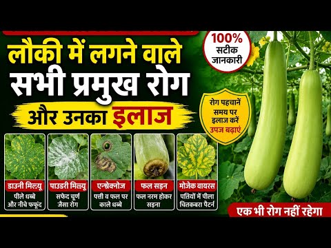 लौकी में लगने वाले प्रमुख रोग और उनका उपचार