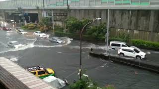 [討論] 水道猴子