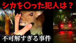 【不可解事件】シカを殺害した犯人とは？