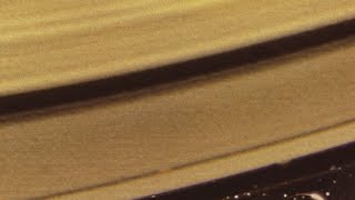 Cro - Magnon  - The Sweetest Taboo