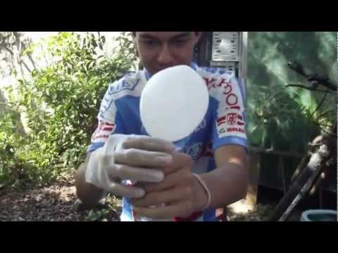 Crie Seu Próprio Balão de Hidrogênio Flutuante   ProvocAção