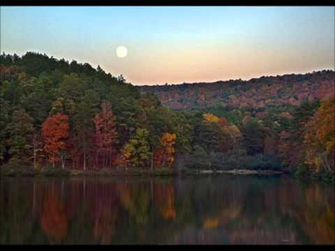 Country Boys World video