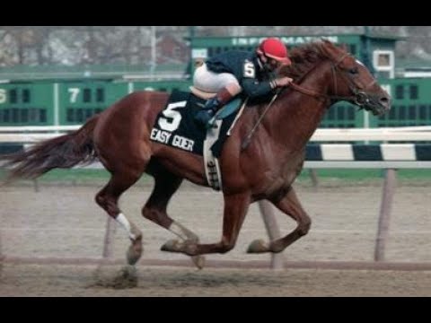 Wood Memorial Invitational Stakes (G1) 1989