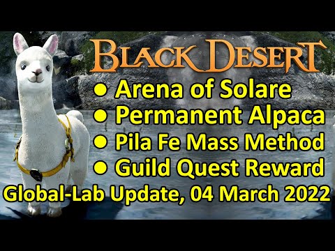 Arena of Solare, Permanent Alpaca Mount, Pila Fe Mass Method (Black Desert Global Lab 04 March 2022)