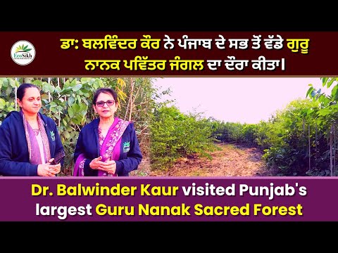 Dr. Balwinder Kaur visited Punjab's largest Guru Nanak Sacred Forest I EcoSikh I