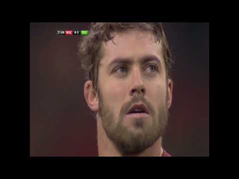 2016 - Wales vs South Africa