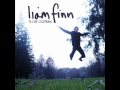 Liam Finn - Fire in your belly