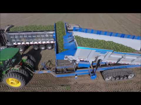 Crop Shuttle used in Michigan Cucumbers