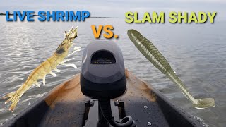 Slam Shady vs. Live Shrimp! Winner Caught 2 Red Fish😎 Old Town Autopilot Indian River Kayak Fishing