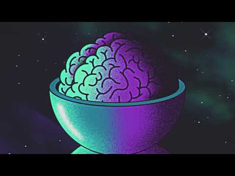 Dopapod | Building a Time Machine - Level 1: Think (Animated Film)