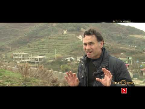 NIBIRU a egziston? Nese po, cfare hipotezash ka per te?