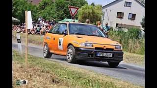 Programovatelná motorová řídící jednotka proPDM - K2