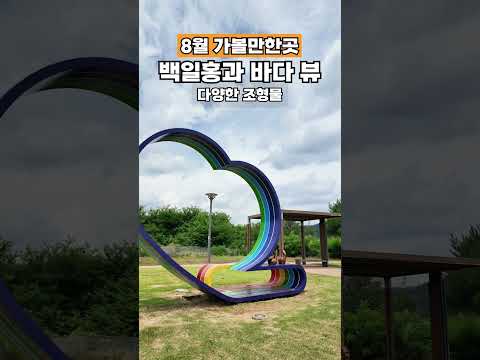 울진 8-9월 가야할 백일홍 바다뷰! :: 울진SNS홍보단 :: 울진군청