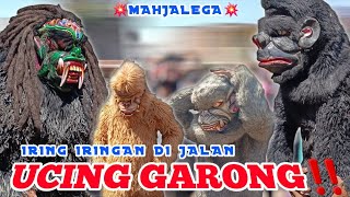 Download lagu Enak banget gays dangdutan di jalan bersama UG🕺‼️UCING GARONG‼️MAHJALEGA 📍 mp3 Download lagu Enak banget gays dangdutan di jalan bersama UG🕺‼️UCING GARONG‼️MAHJALEGA 📍 mp3