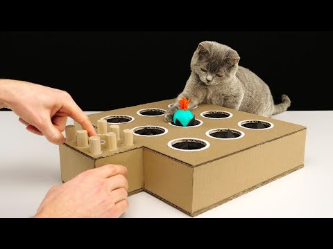 download lagu mp3 mp4 Diy Cardboard Cat Toys, download lagu Diy Cardboard Cat Toys gratis, unduh video klip Diy Cardboard Cat Toys