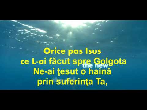 In haine albe negativ editat de David gogonea