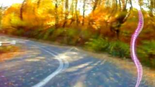 OLD DAN TUCKER - BRUCE SPRINGSTEEN