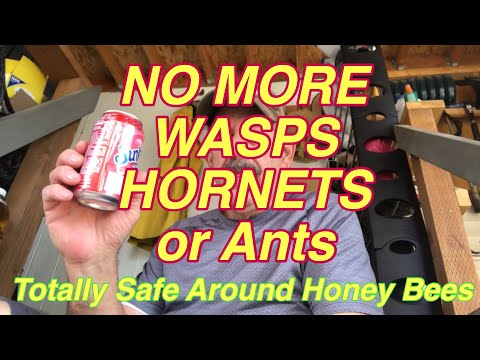 Safely kill ALL Hornets, Yellow Jackets and Wasps for 1/2 mile. Safe for honeybees.