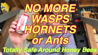 Safely kill ALL Hornets, Yellow Jackets and Wasps for 1/2 mile. Safe for honeybees.