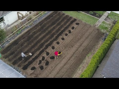 What Cuba can teach America about organic farming