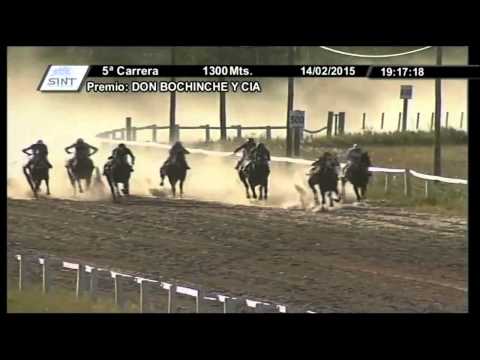 Halle berry ganó en el SINT Melo, premio Don Bochinche y Cia !!!