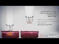 Secret RF Micro Needle Fractional RF System