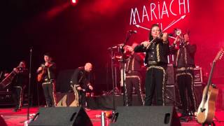 Mariachi El Bronx @ Elm Street Tattoo Festival 11/13/2015