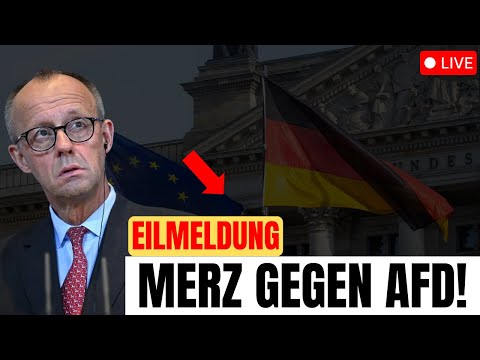 💥 Aufruhr in Deutschland! Merz fordert die AfD heraus – Starkes Statement gegen die Rechtsextremen!