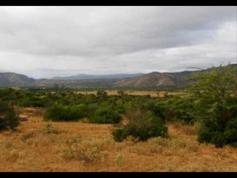 Karoopad - Lieze Stassen