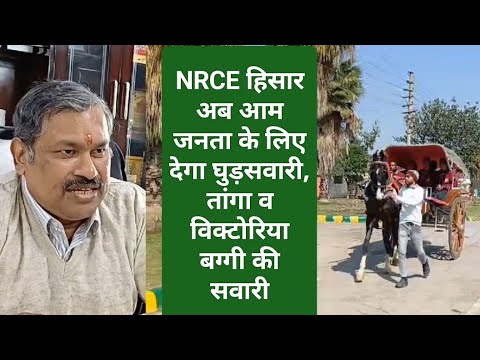 NRCE हिसार अब आम जनता के लिए देगा घुड़सवारी, तांगा व विक्टोरिया बग्गी की सवारी