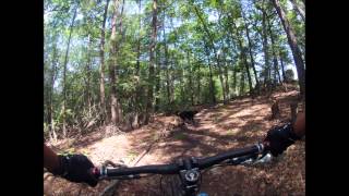 preview picture of video 'Mountain biking(mtb) with my little buddy (my dog Tyson) in Trumbull'