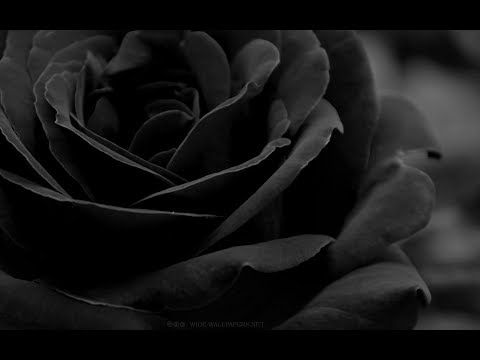 Tiguan Jones / Grayson Voltaire - Love to Hate You (Industrial Rock)