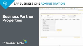 SAP Business One Business Partner Properties
