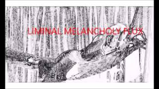 Liminal Melancholy Flux - Une Filme de Anrai